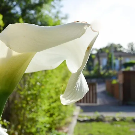 Eco Logis Le Colibri 乐泰赫