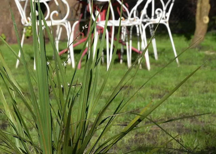 Eco Logis Le Colibri Ferienhaus Le Teich